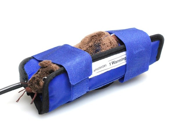 Warming blanket WB-1