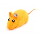 RapID Tags