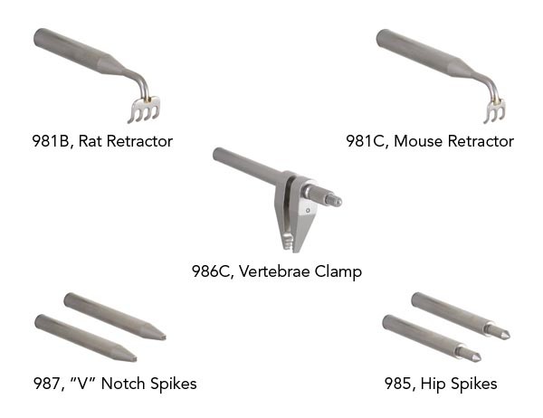 Spinal Accessories