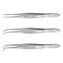 Extra Fine Graefe Serrated